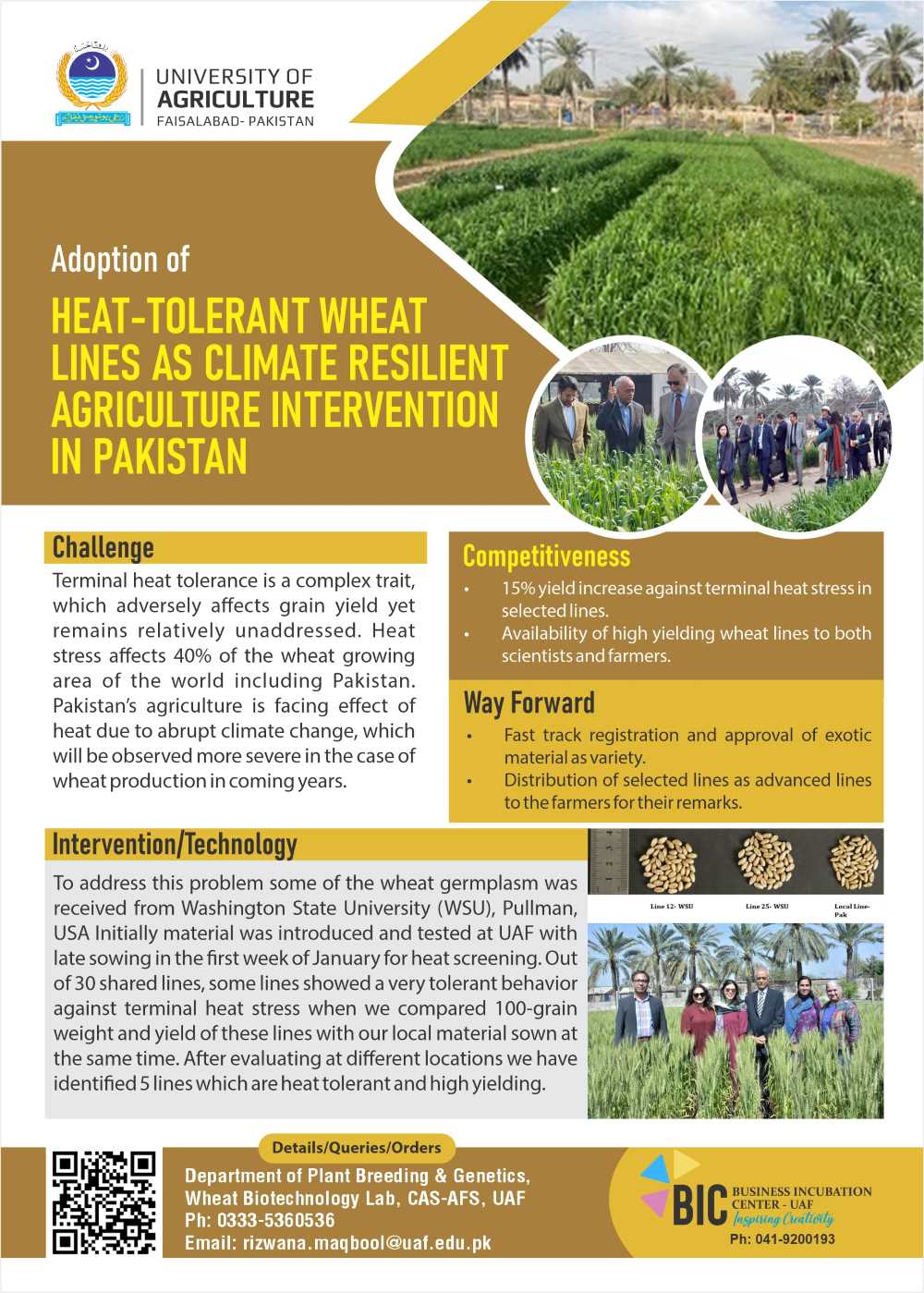 Adoption of Heat-Tolerant Wheat